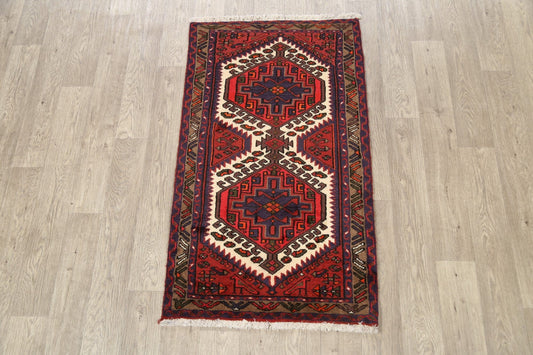 Geometric Hamedan Persian Area Rug 3x4