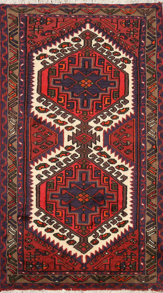 Geometric Hamedan Persian Area Rug 3x4