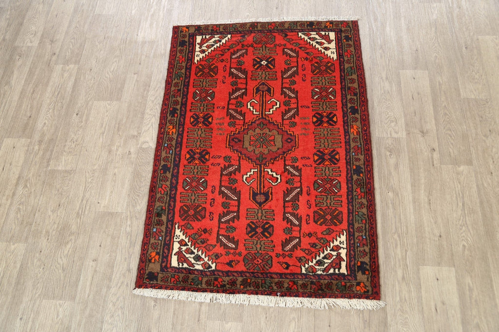 Geometric Hamedan Persian Area Rug 3x5