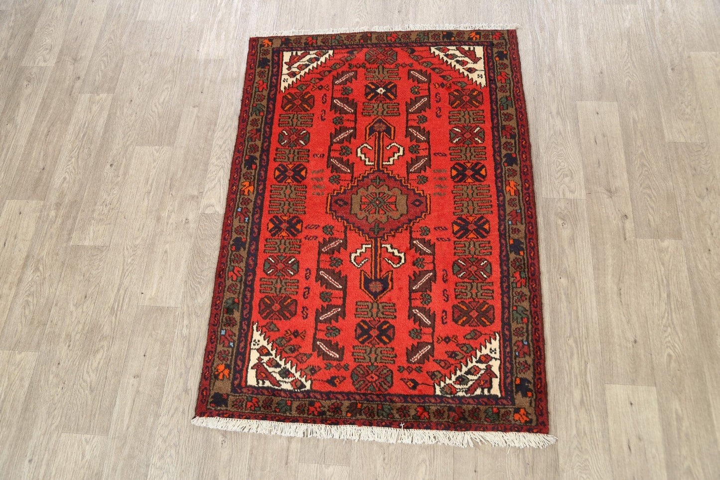 Geometric Hamedan Persian Area Rug 3x5