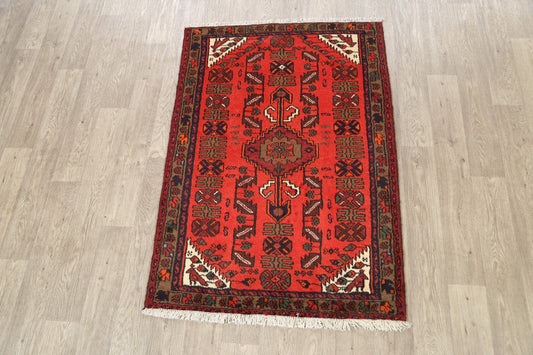 Geometric Hamedan Persian Area Rug 3x5