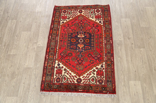 Geometric Hamedan Persian Area Rug 3x5