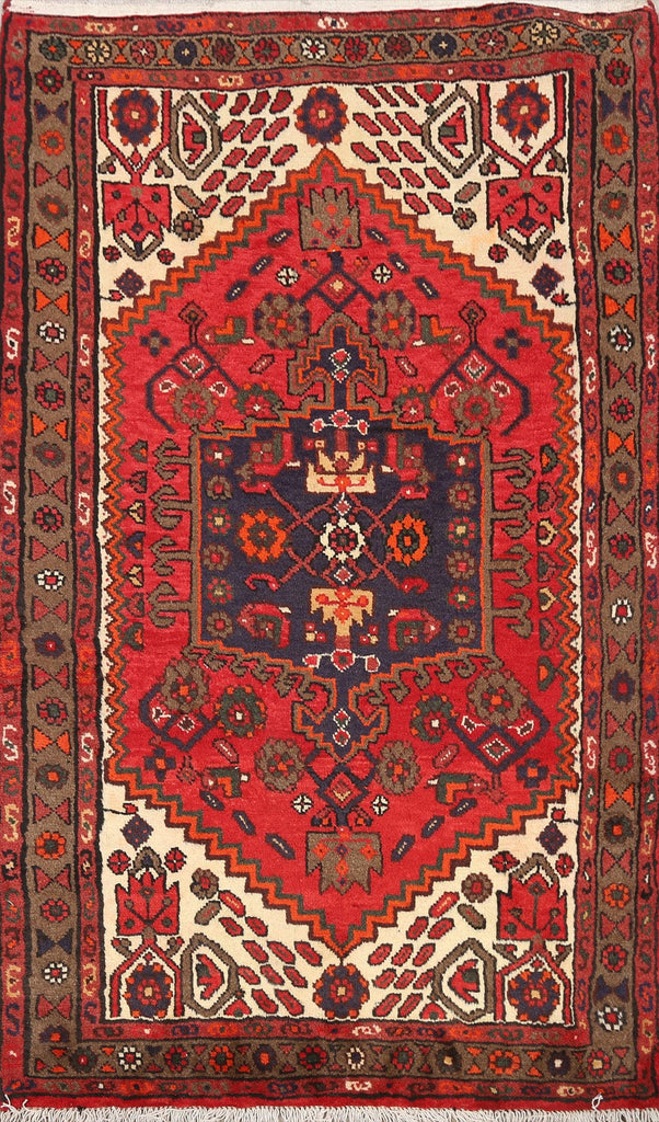 Geometric Hamedan Persian Area Rug 3x5