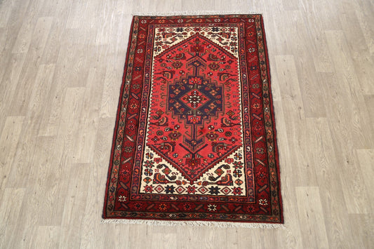 Geometric Hamedan Persian Area Rug 4x5