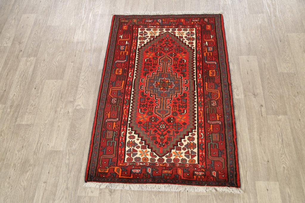 Geometric Hamedan Persian Area Rug 3x5