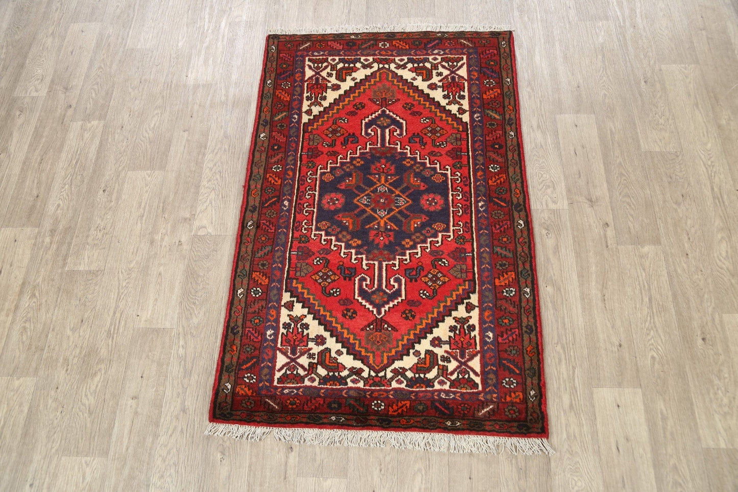 Geometric Hamedan Persian Area Rug 3x5