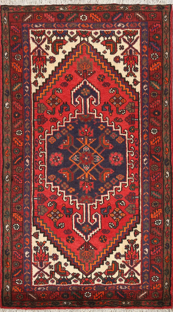 Geometric Hamedan Persian Area Rug 3x5