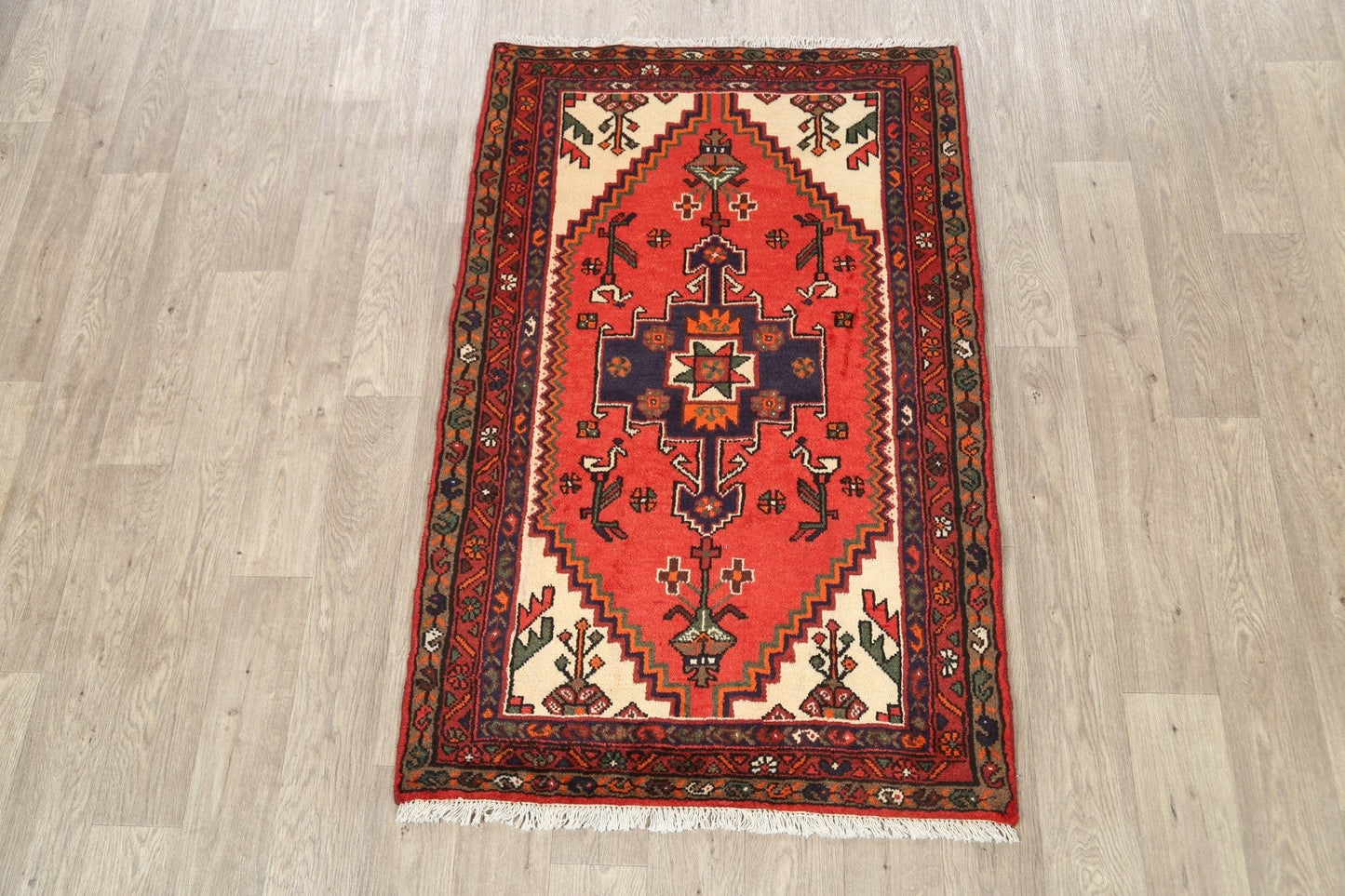 Geometric Hamedan Persian Area Rug 3x5