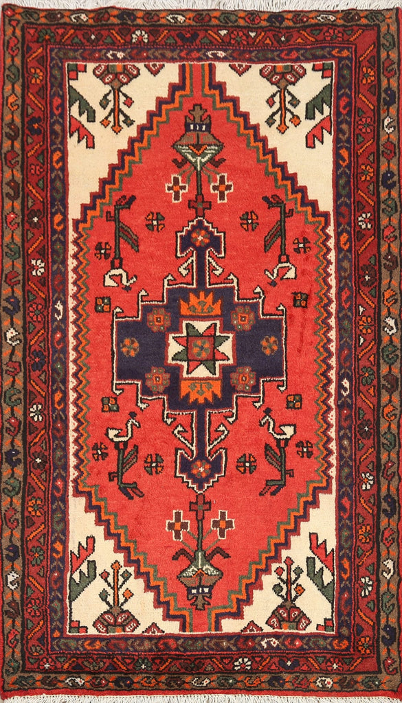 Geometric Hamedan Persian Area Rug 3x5