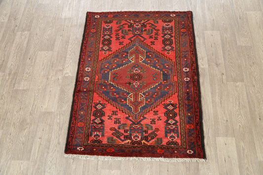 Geometric Hamedan Persian Area Rug 4x5