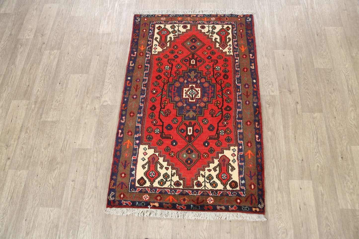 Geometric Hamedan Persian Area Rug 3x5