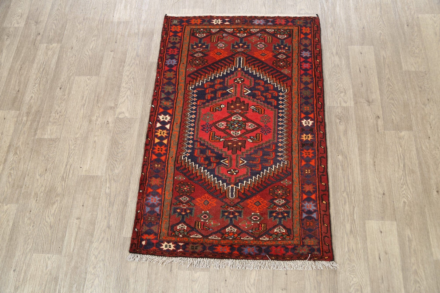 Geometric Hamedan Persian Area Rug 3x5