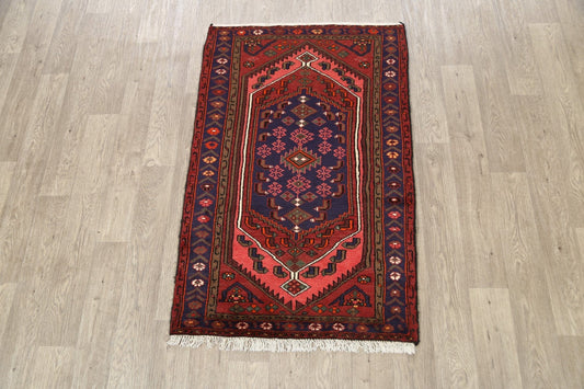 Geometric Hamedan Persian Area Rug 3x5