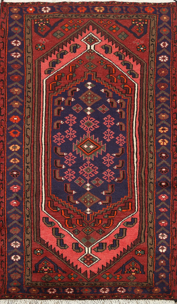 Geometric Hamedan Persian Area Rug 3x5