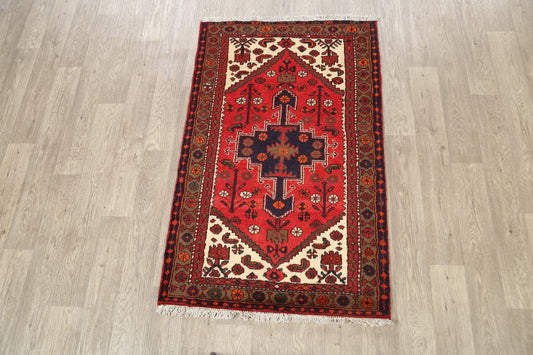 Geometric Hamedan Persian Area Rug 3x5