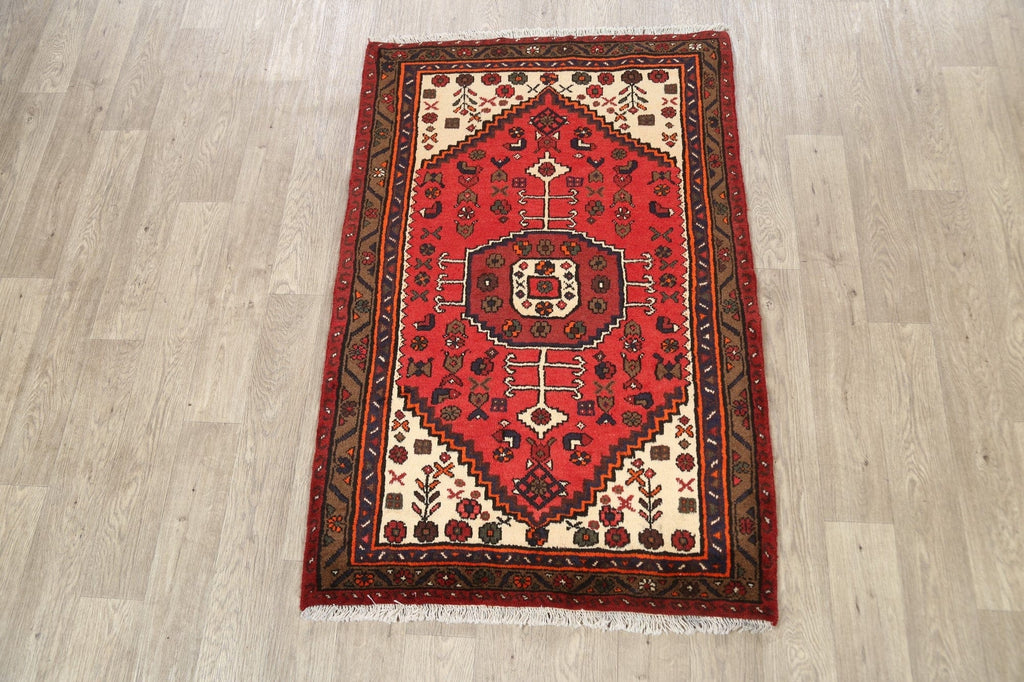 Geometric Hamedan Persian Area Rug 3x5