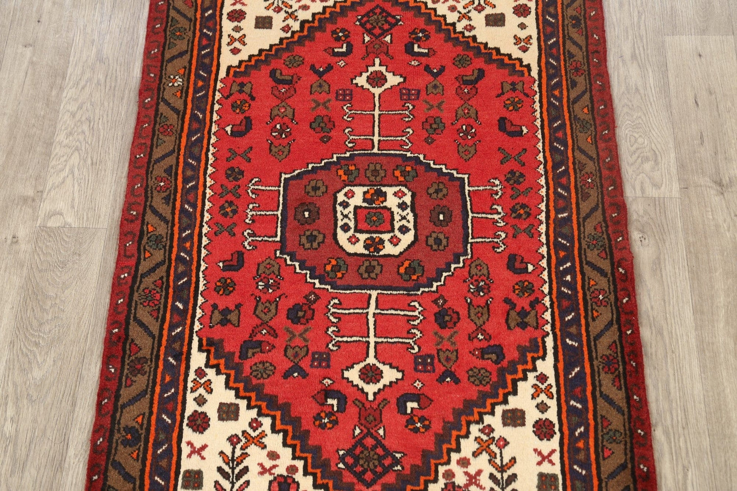 Geometric Hamedan Persian Area Rug 3x5