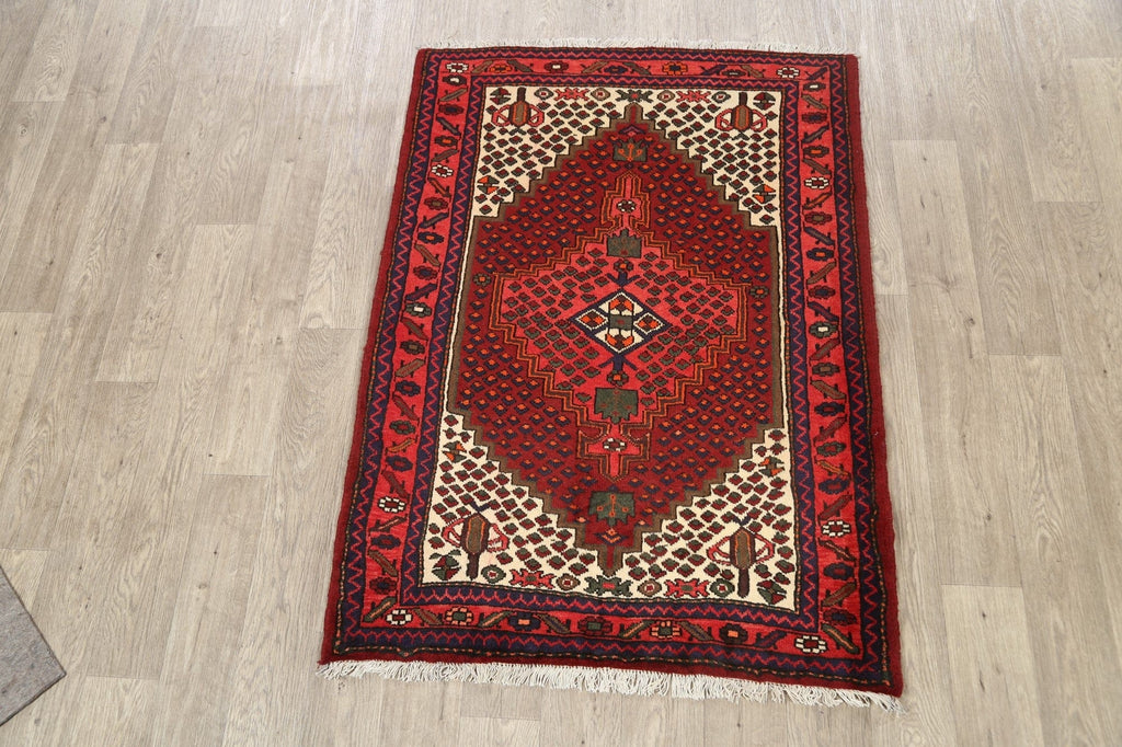 Geometric Hamedan Persian Area Rug 3x5