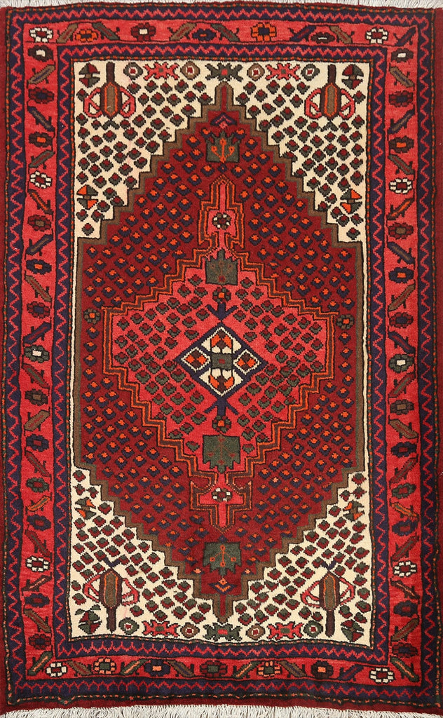 Geometric Hamedan Persian Area Rug 3x5