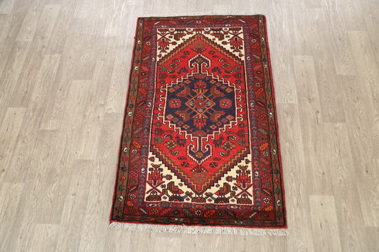 Geometric Hamedan Persian Area Rug 3x5