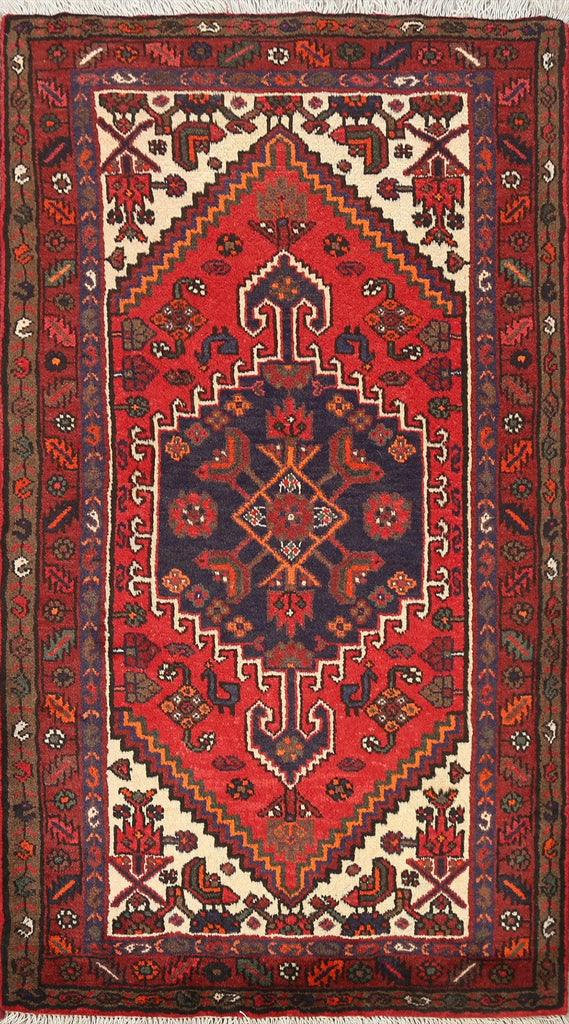 Geometric Hamedan Persian Area Rug 3x5