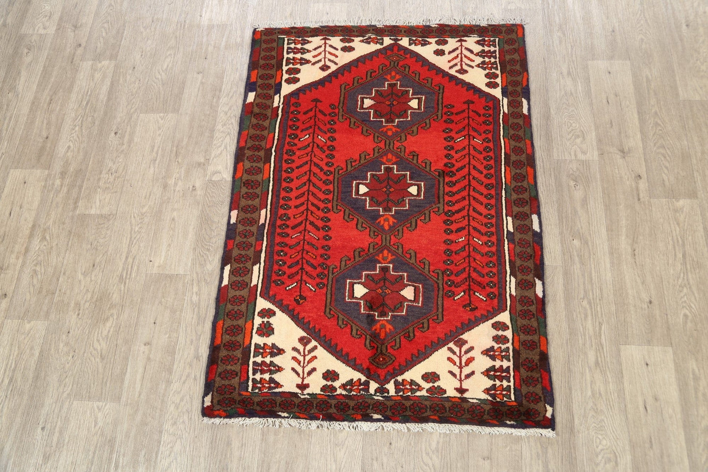 Geometric Hamedan Persian Area Rug 3x5