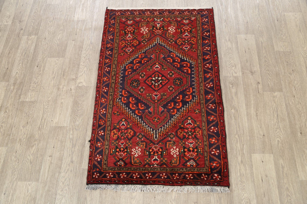 Geometric Hamedan Persian Area Rug 3x5