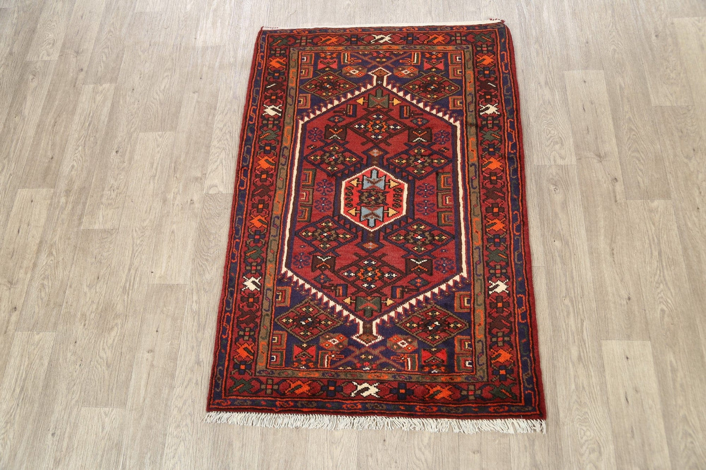 Geometric Hamedan Persian Area Rug 3x5