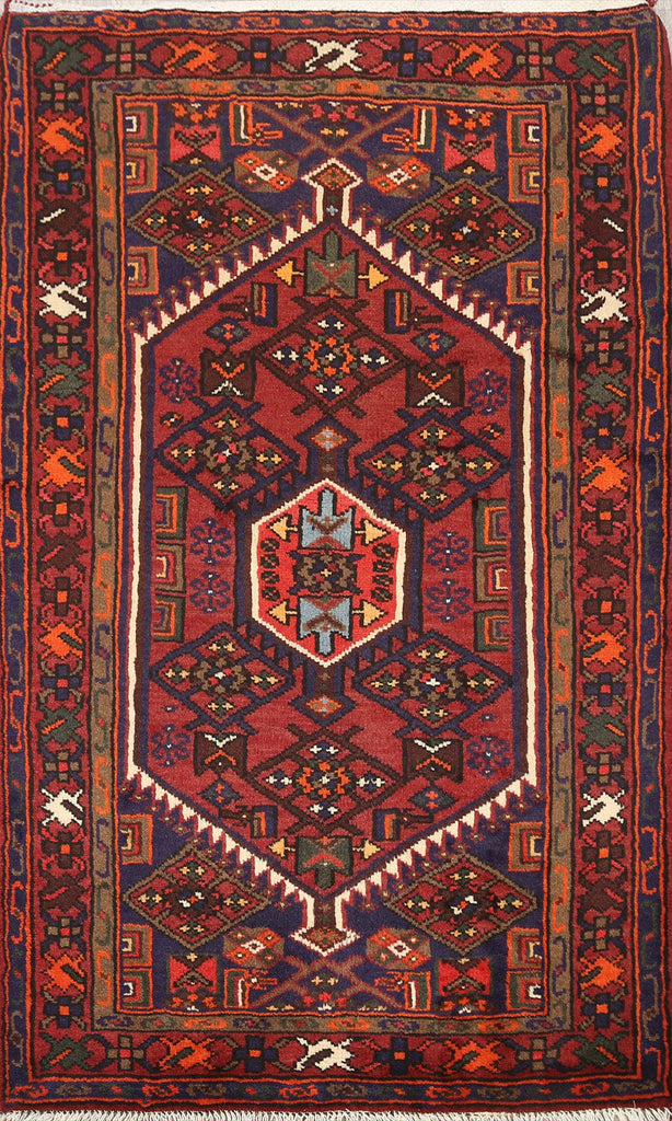 Geometric Hamedan Persian Area Rug 3x5