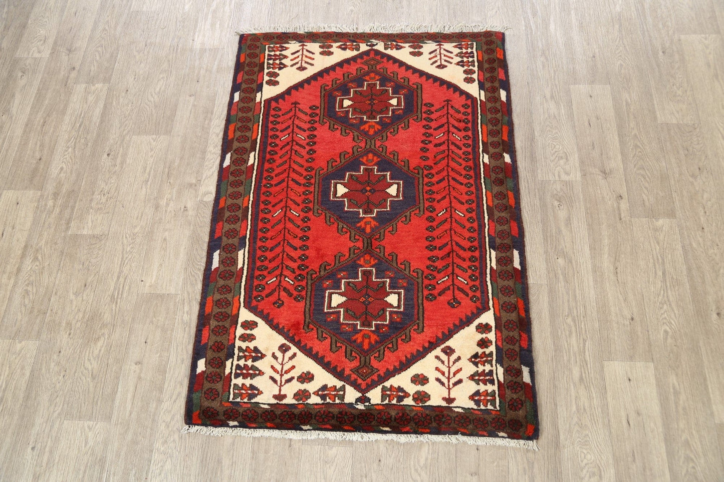 Geometric Hamedan Persian Area Rug 3x5