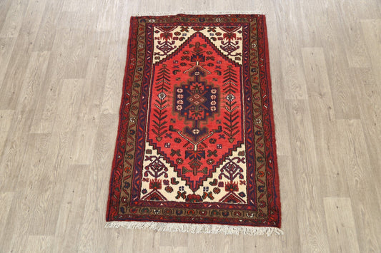 Geometric Hamedan Persian Area Rug 3x5