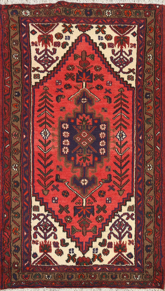 Geometric Hamedan Persian Area Rug 3x5