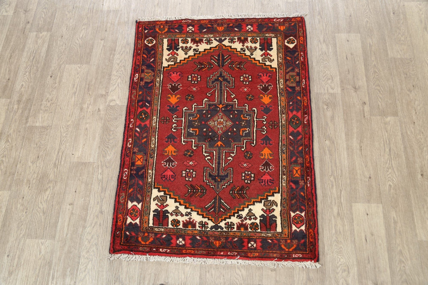 Geometric Hamedan Persian Area Rug 3x5