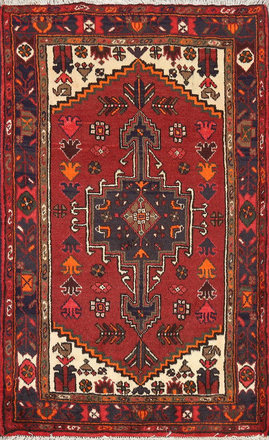 Geometric Hamedan Persian Area Rug 3x5