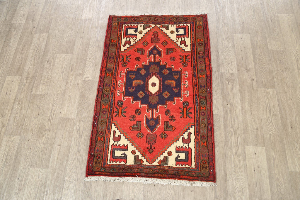 Geometric Hamedan Persian Area Rug 3x5