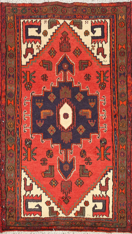 Geometric Hamedan Persian Area Rug 3x5