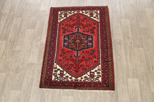 Geometric Hamedan Persian Area Rug 3x5