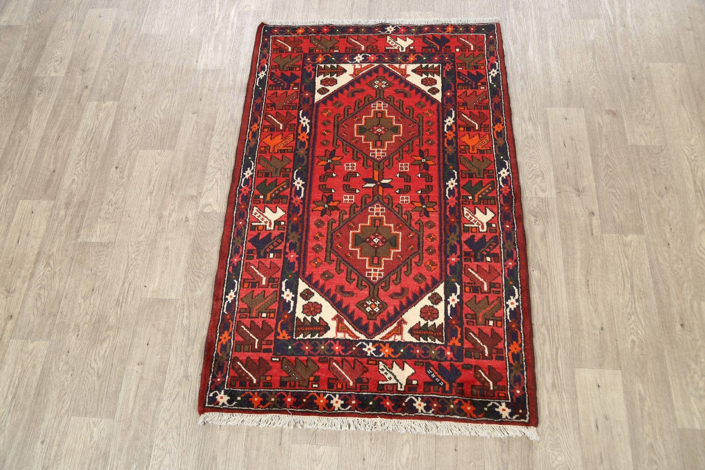 Geometric Hamedan Persian Area Rug 3x5