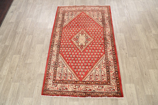 Boteh Botemir Persian Area Rug 4x7