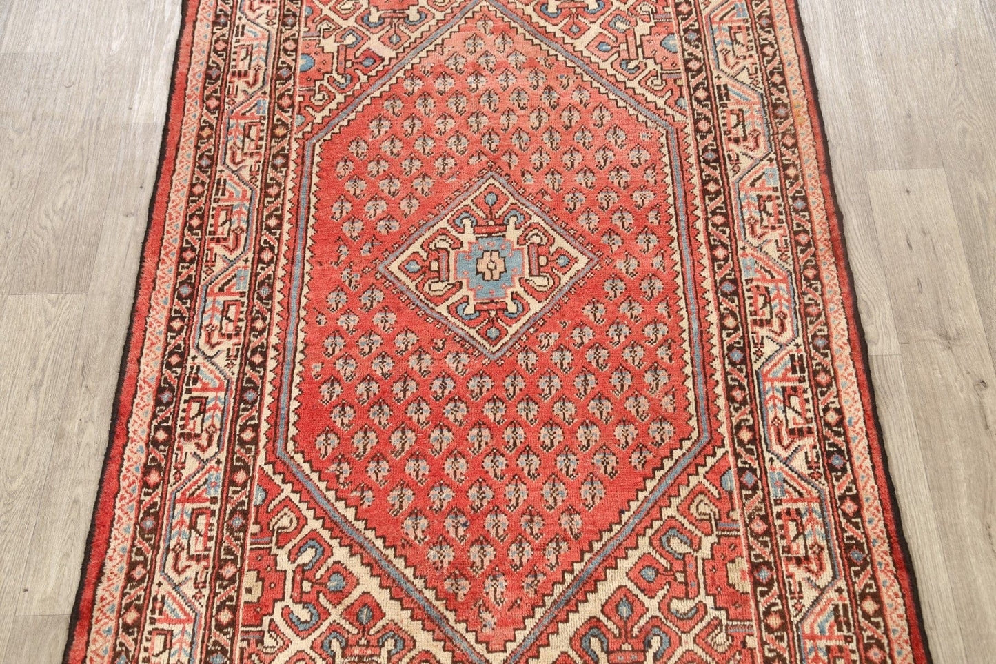 Geometric Botemir Persian Area Rug 4x7