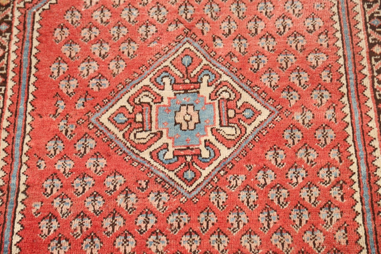 Geometric Botemir Persian Area Rug 4x7