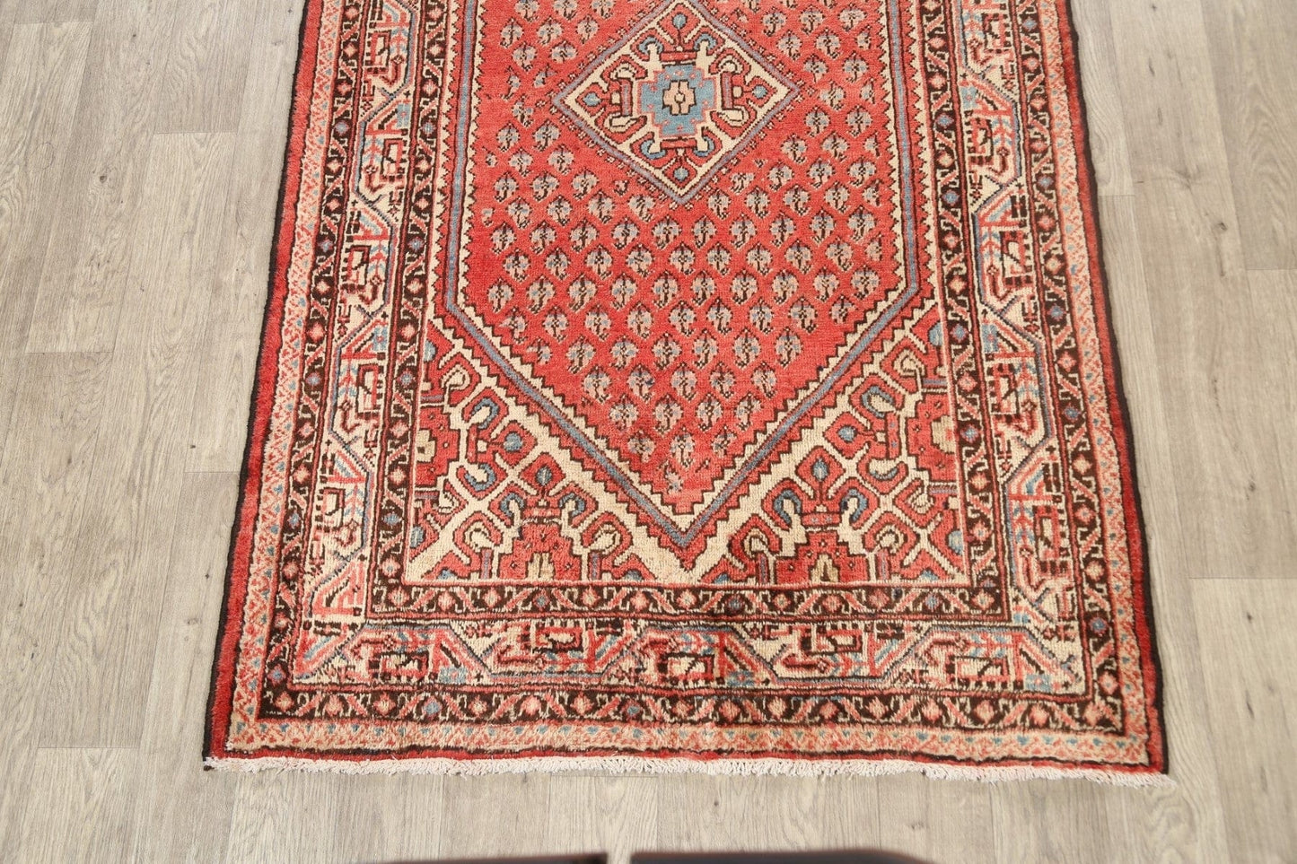 Geometric Botemir Persian Area Rug 4x7