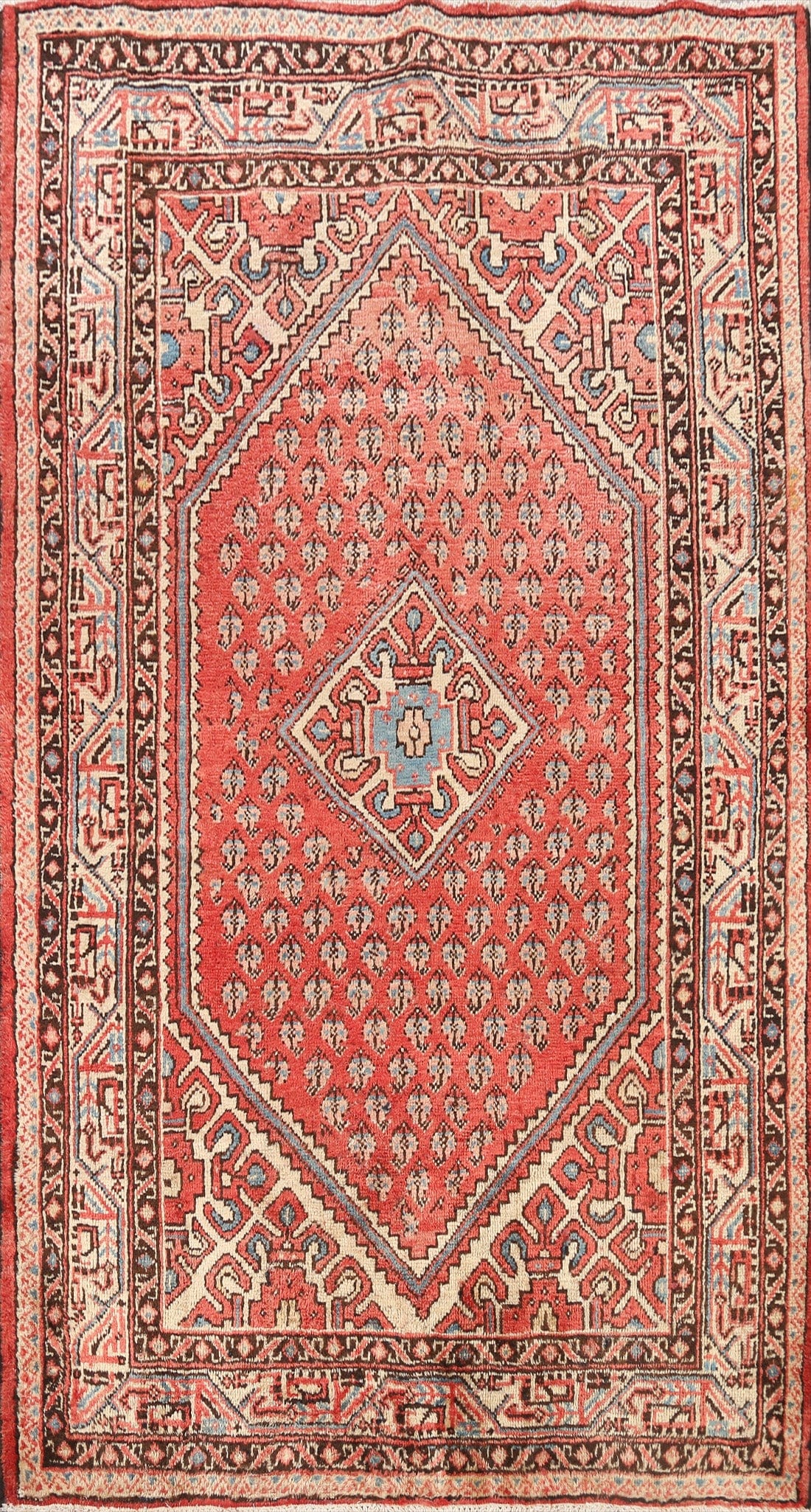 Geometric Botemir Persian Area Rug 4x7