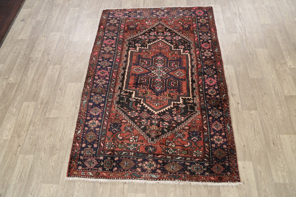 Geometric Hamedan Persian Area Rug 4x7