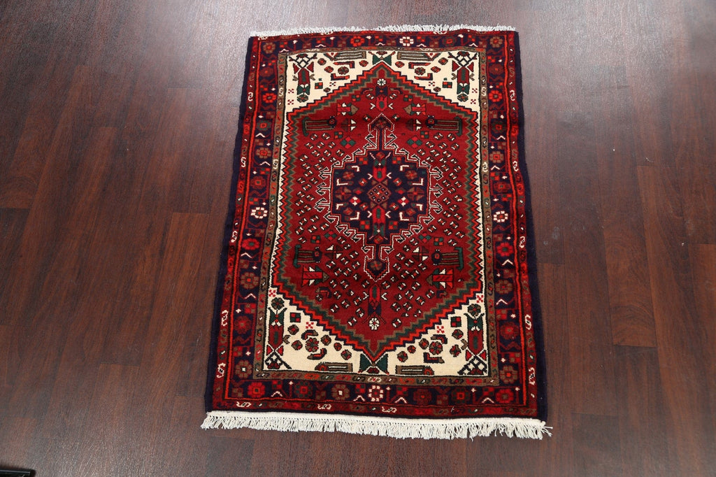 Geometric Hamedan Persian Area Rug 3x5