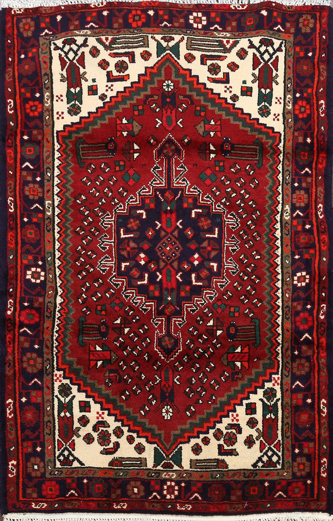 Geometric Hamedan Persian Area Rug 3x5