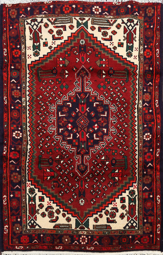 Geometric Hamedan Persian Area Rug 3x5