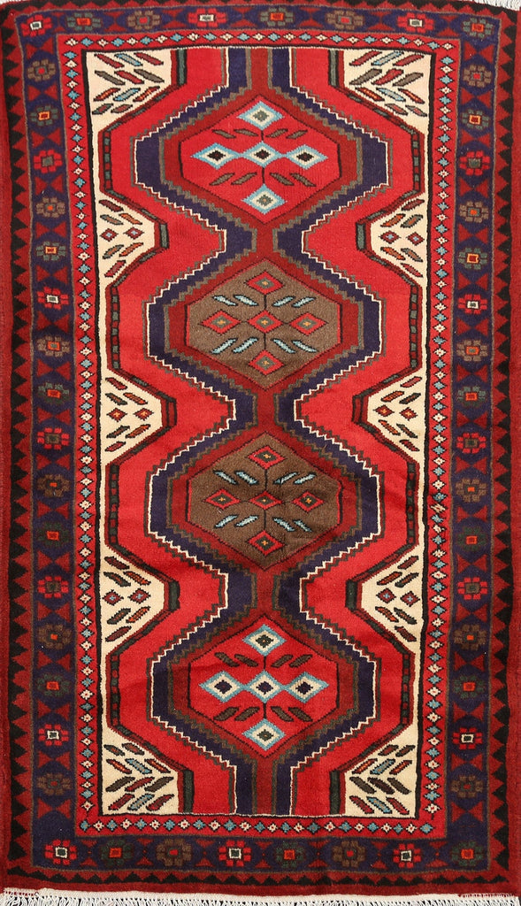 Geometric Hamedan Persian Area Rug 3x5