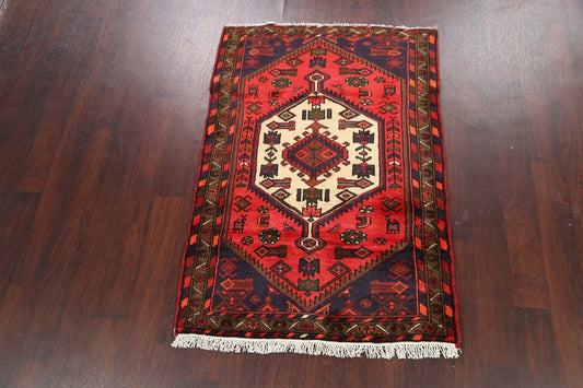 Geometric Hamedan Persian Area Rug 3x5