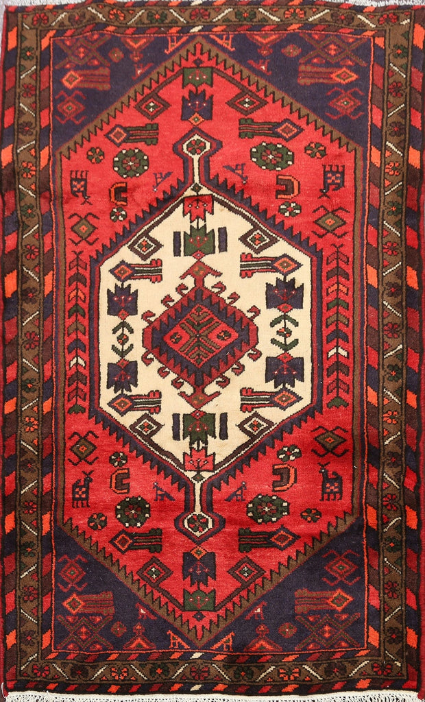 Geometric Hamedan Persian Area Rug 3x5